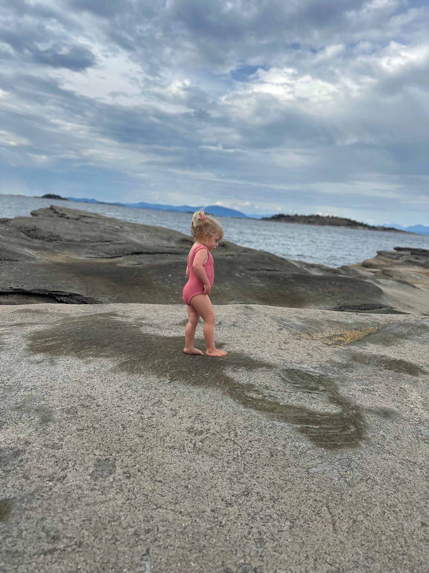 THE ONE PIECE